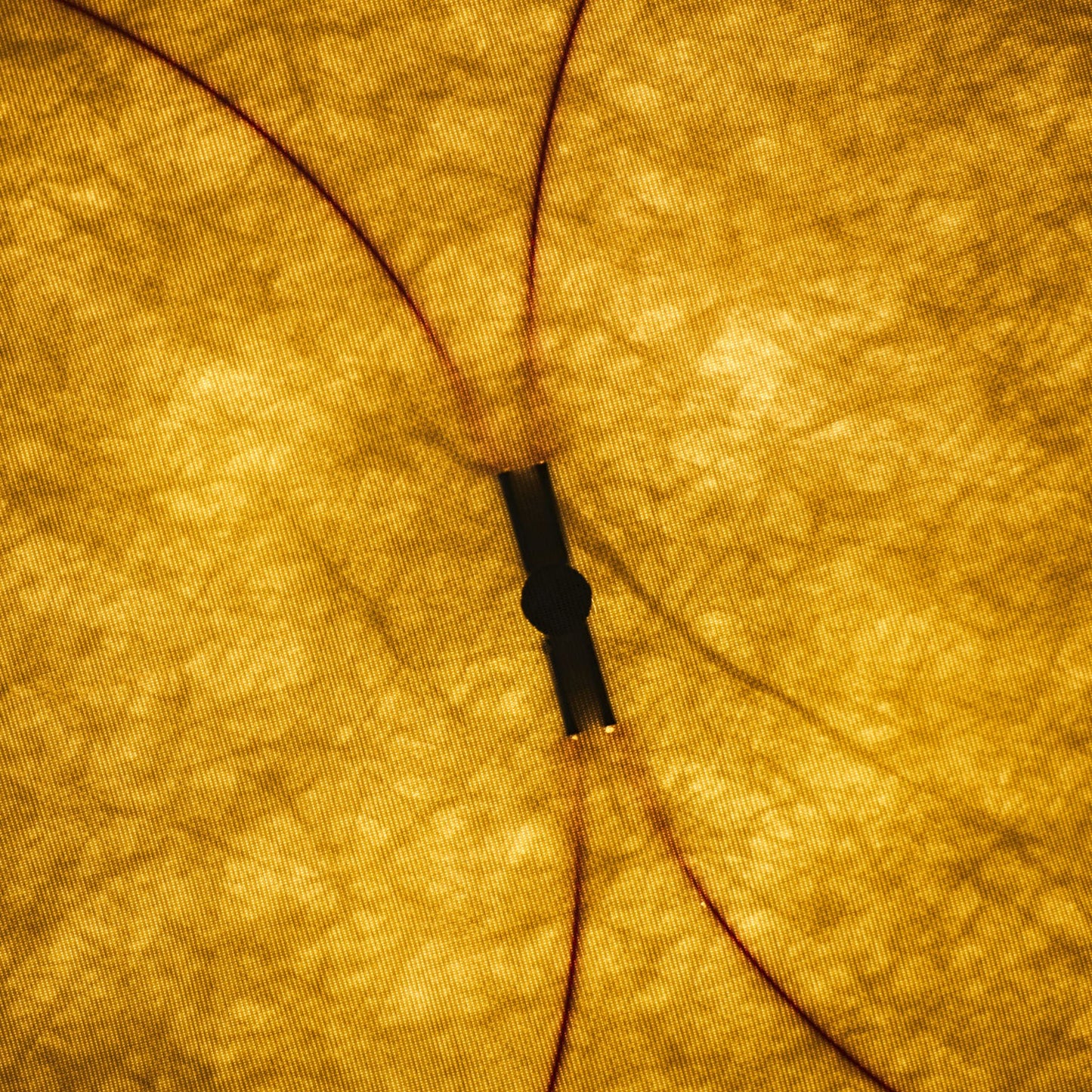 Barite Paper Plug-in Wall Light