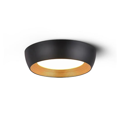 Kentia Duncan Ceiling Light