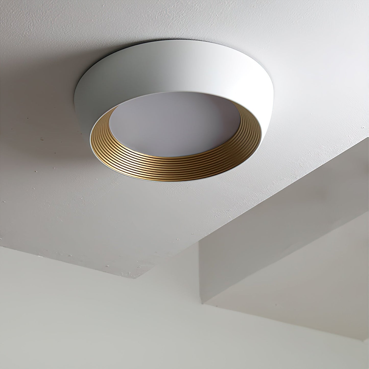 Kentia Duncan Ceiling Light