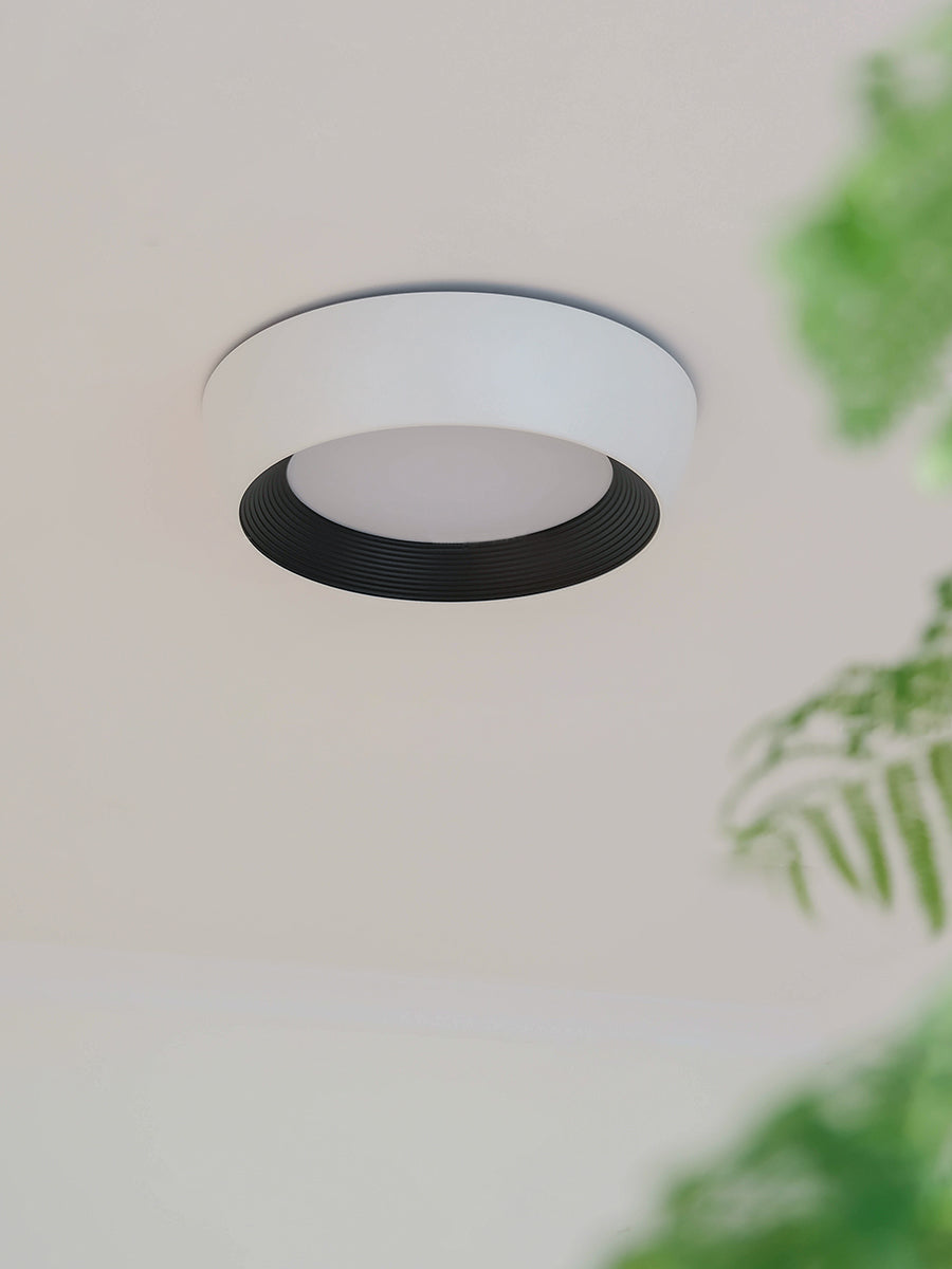 Kentia Duncan Ceiling Light