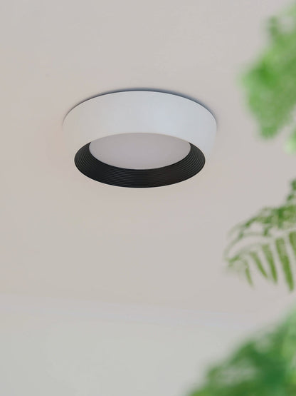 Kentia Duncan Ceiling Light
