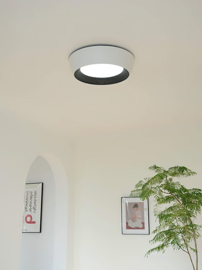 Kentia Duncan Ceiling Light