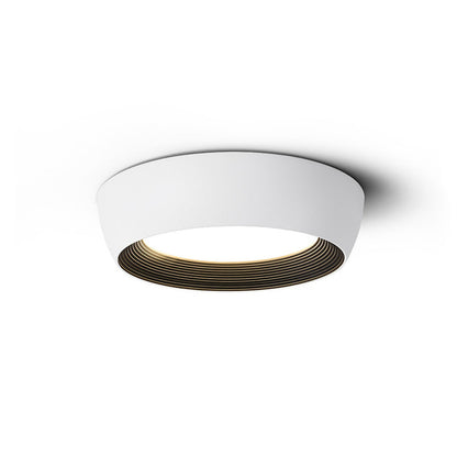Kentia Duncan Ceiling Light