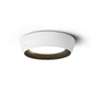 Kentia Duncan Ceiling Light
