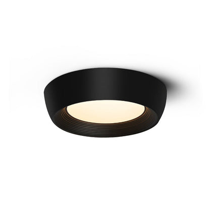 Kentia Duncan Ceiling Light