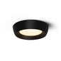Kentia Duncan Ceiling Light