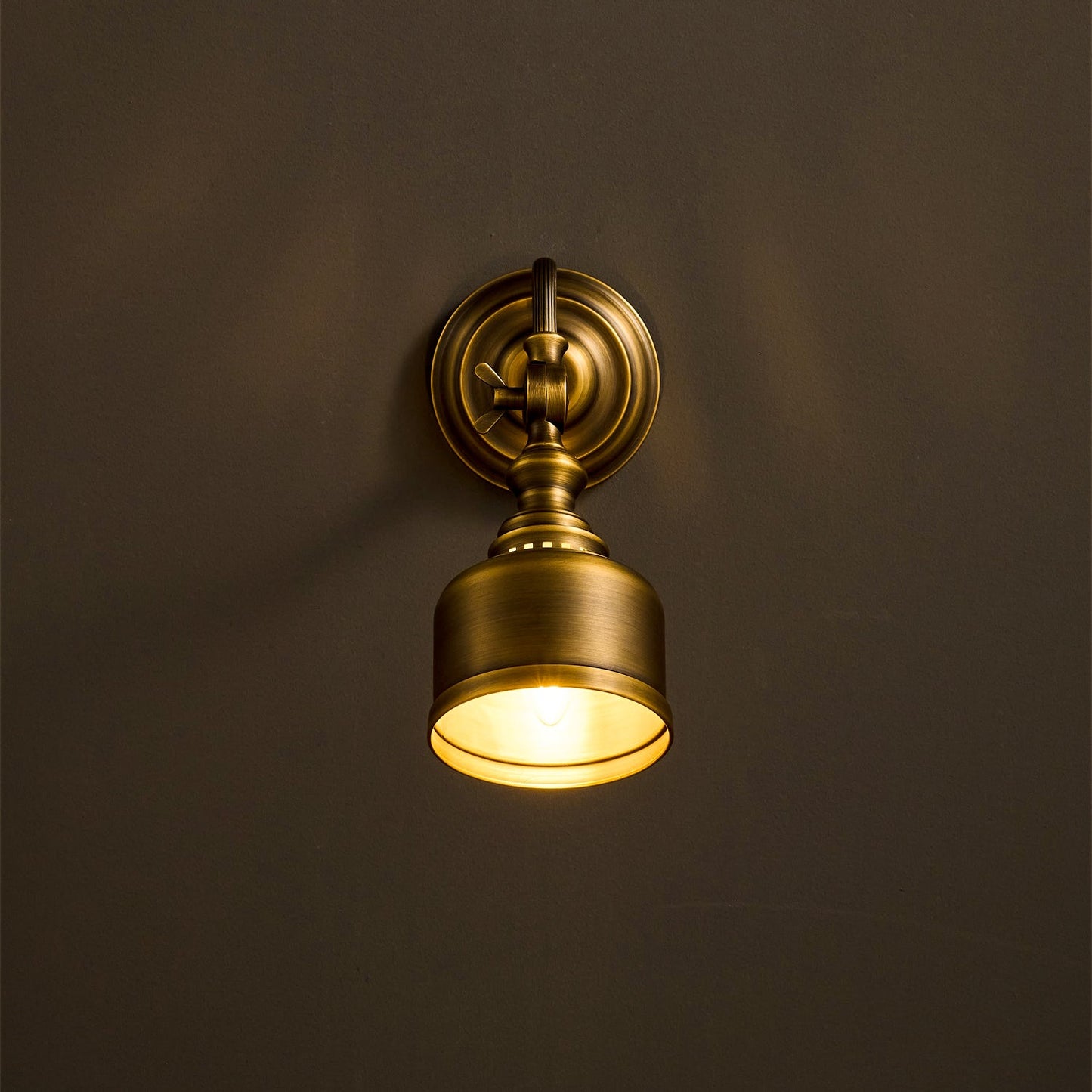 Vionan Gooseneck Wall Lamp
