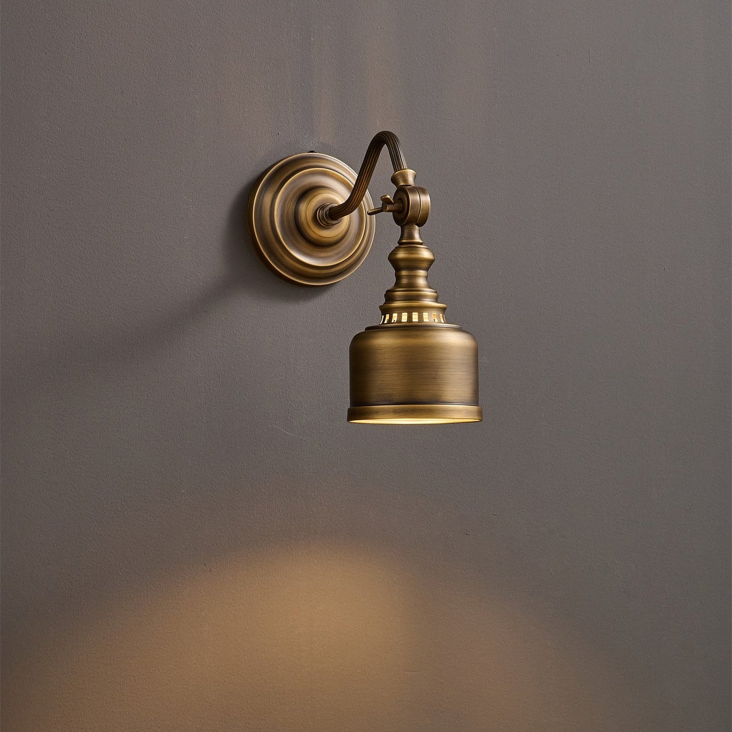 Vionan Gooseneck Wall Lamp