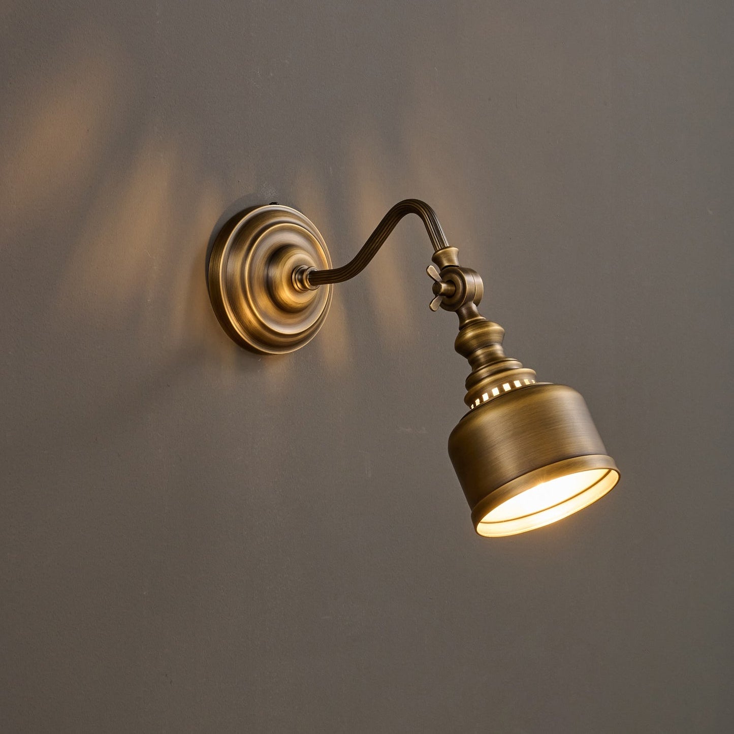 Vionan Gooseneck Wall Lamp