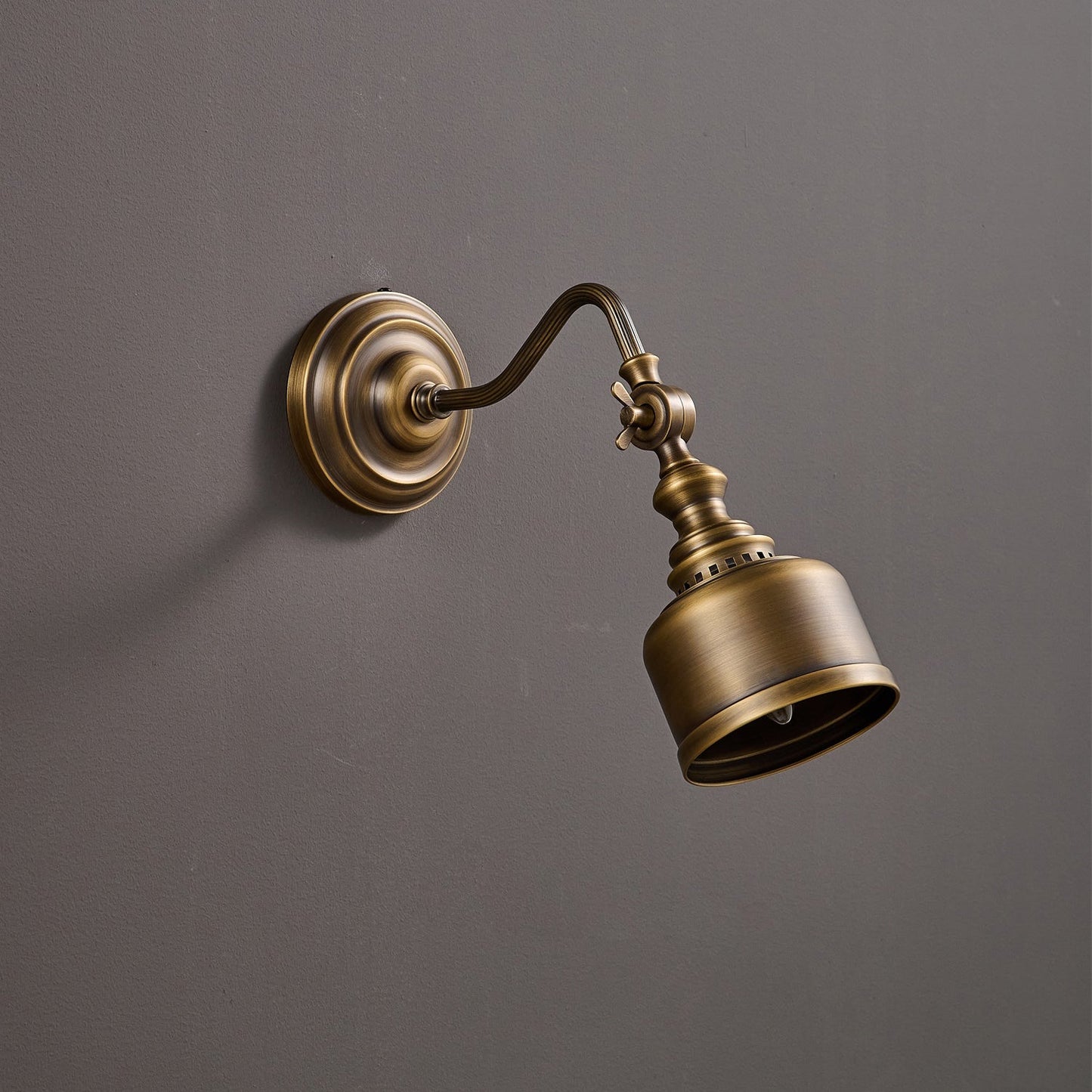 Vionan Gooseneck Wall Lamp