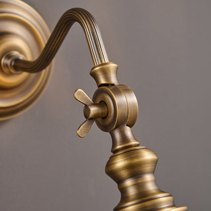 Vionan Gooseneck Wall Lamp