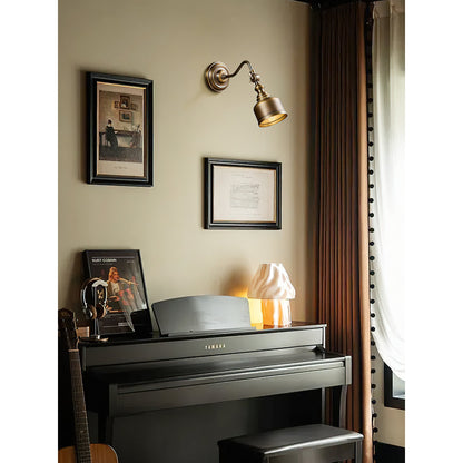Vionan Gooseneck Wall Lamp