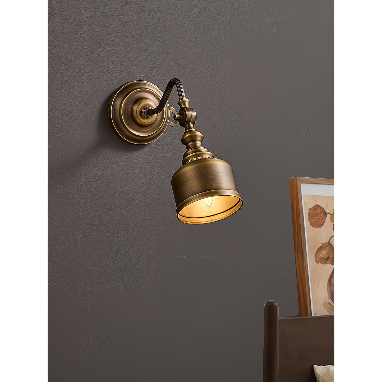 Vionan Gooseneck Wall Lamp