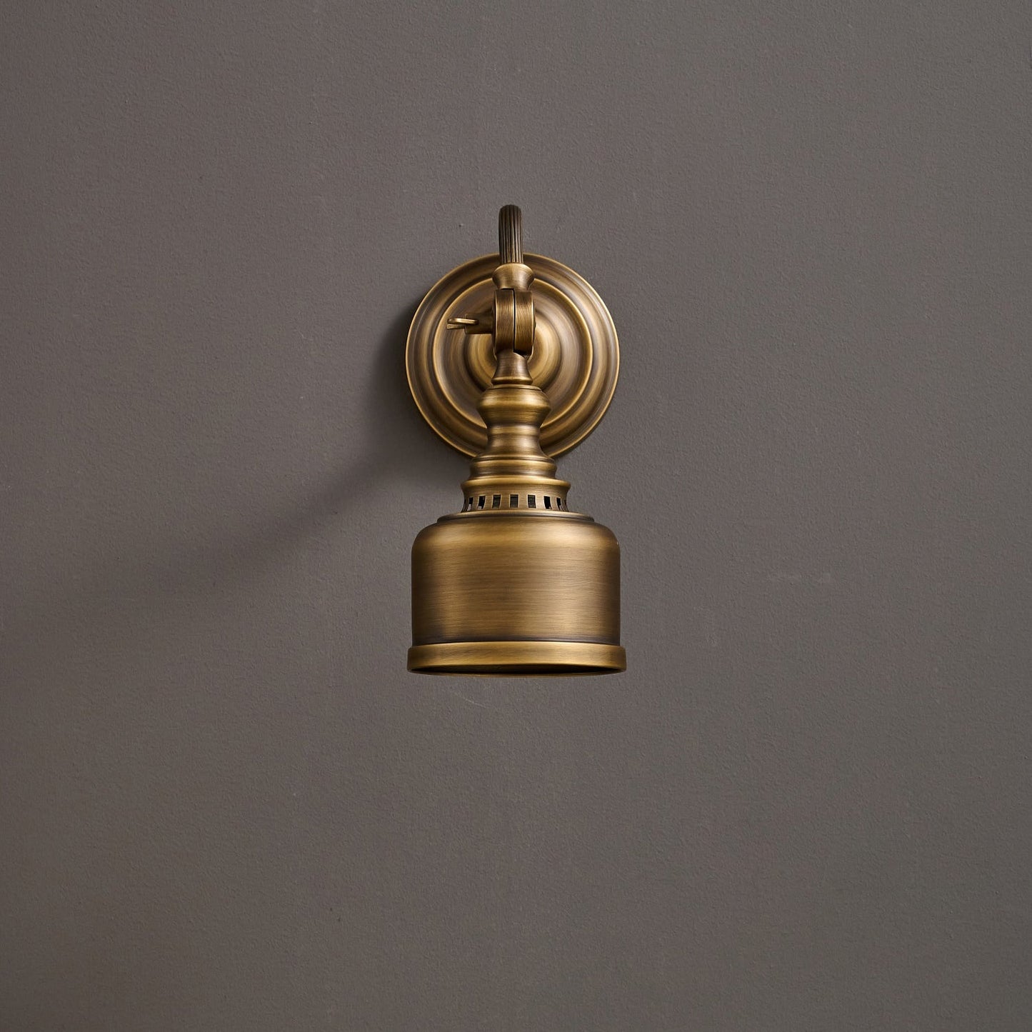 Vionan Gooseneck Wall Lamp