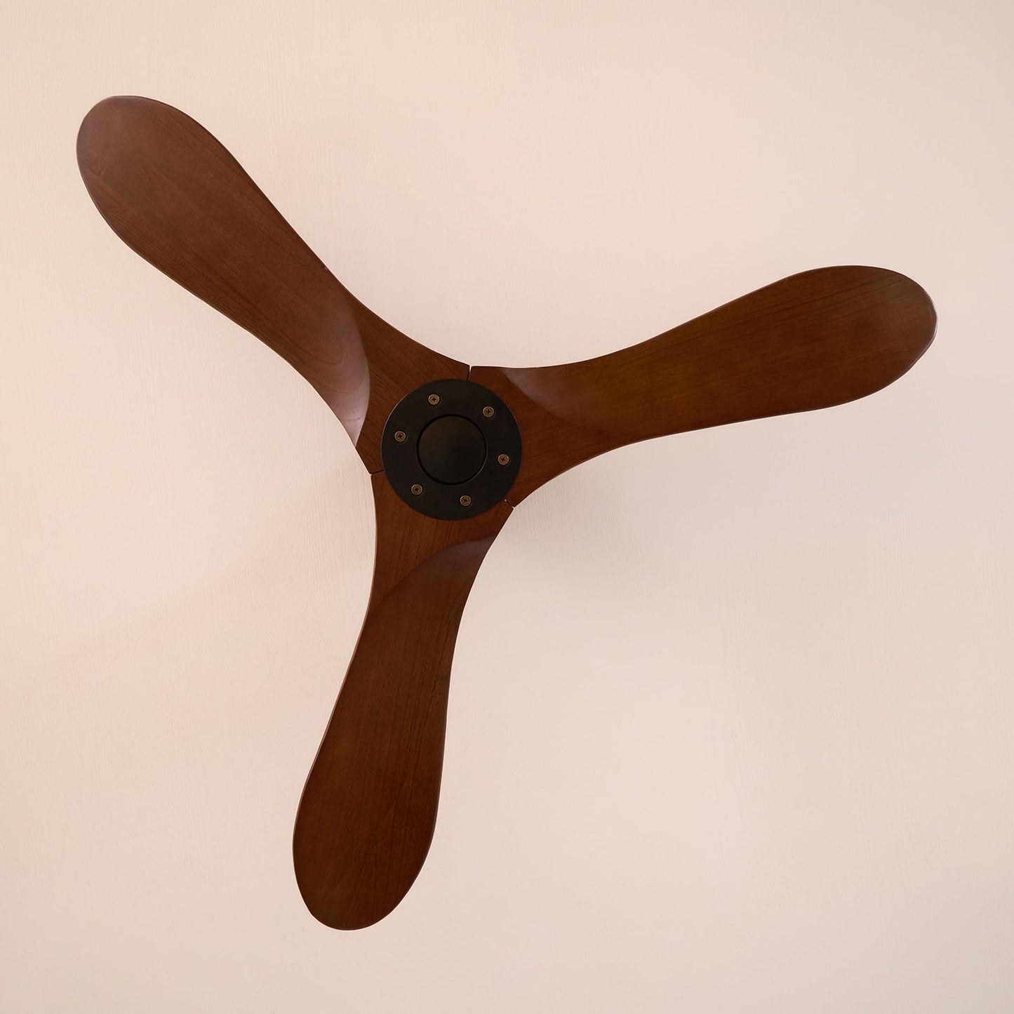Talora Breeze Ceiling Fan