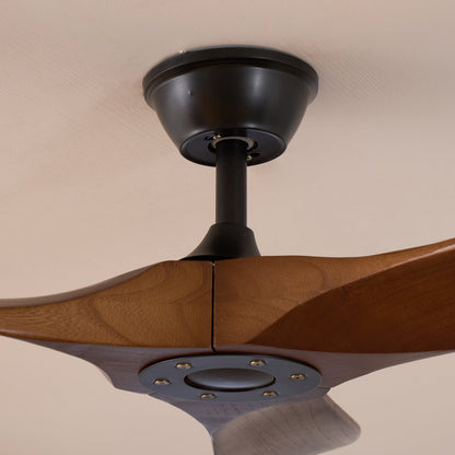 Talora Breeze Ceiling Fan