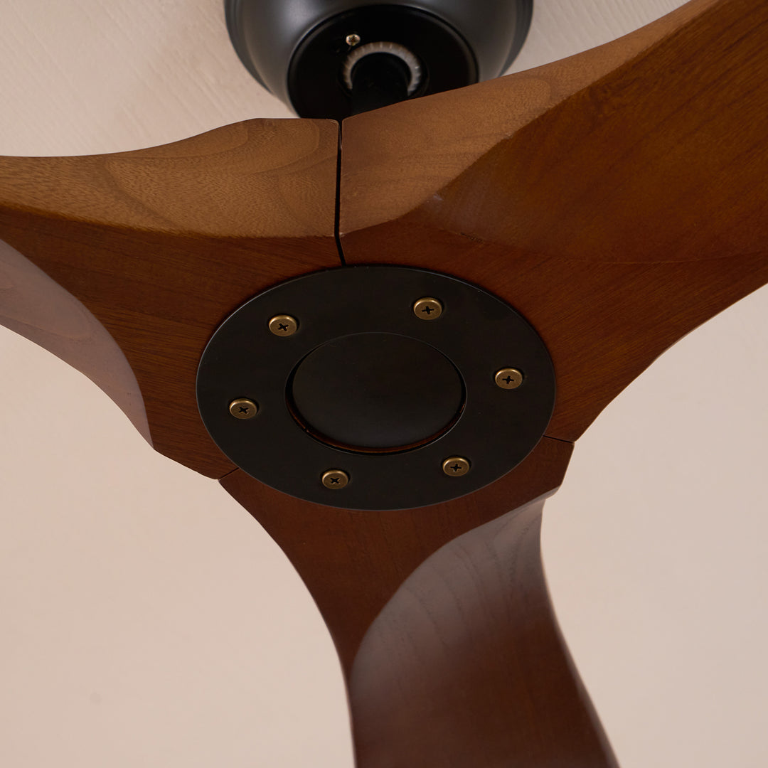 Talora Breeze Ceiling Fan