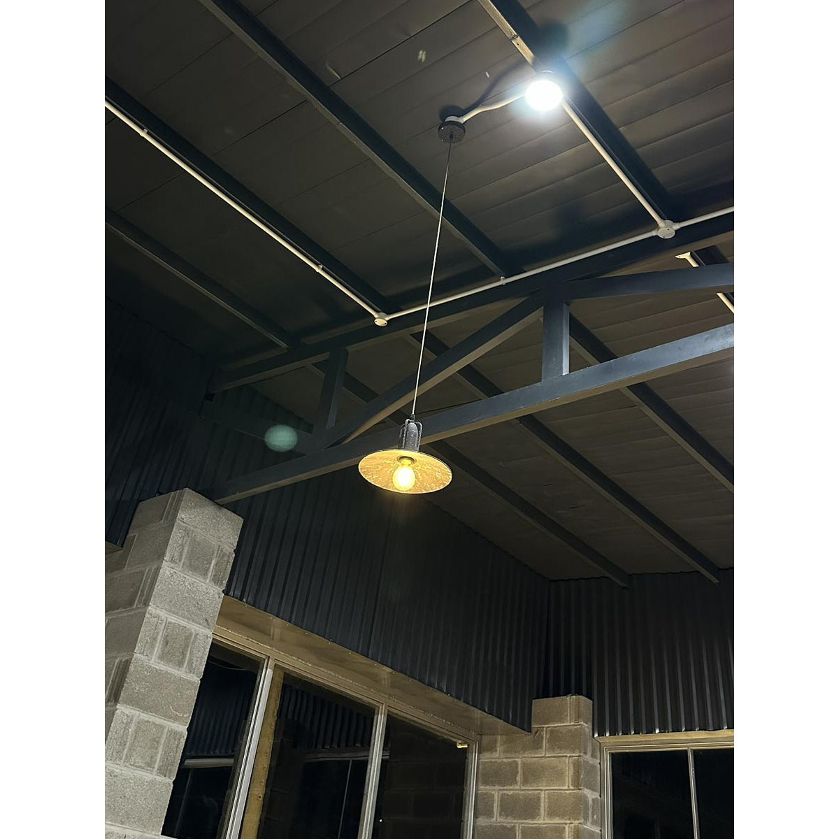 Magnus Pendant Light