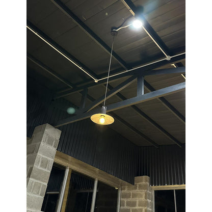 Magnus Pendant Light