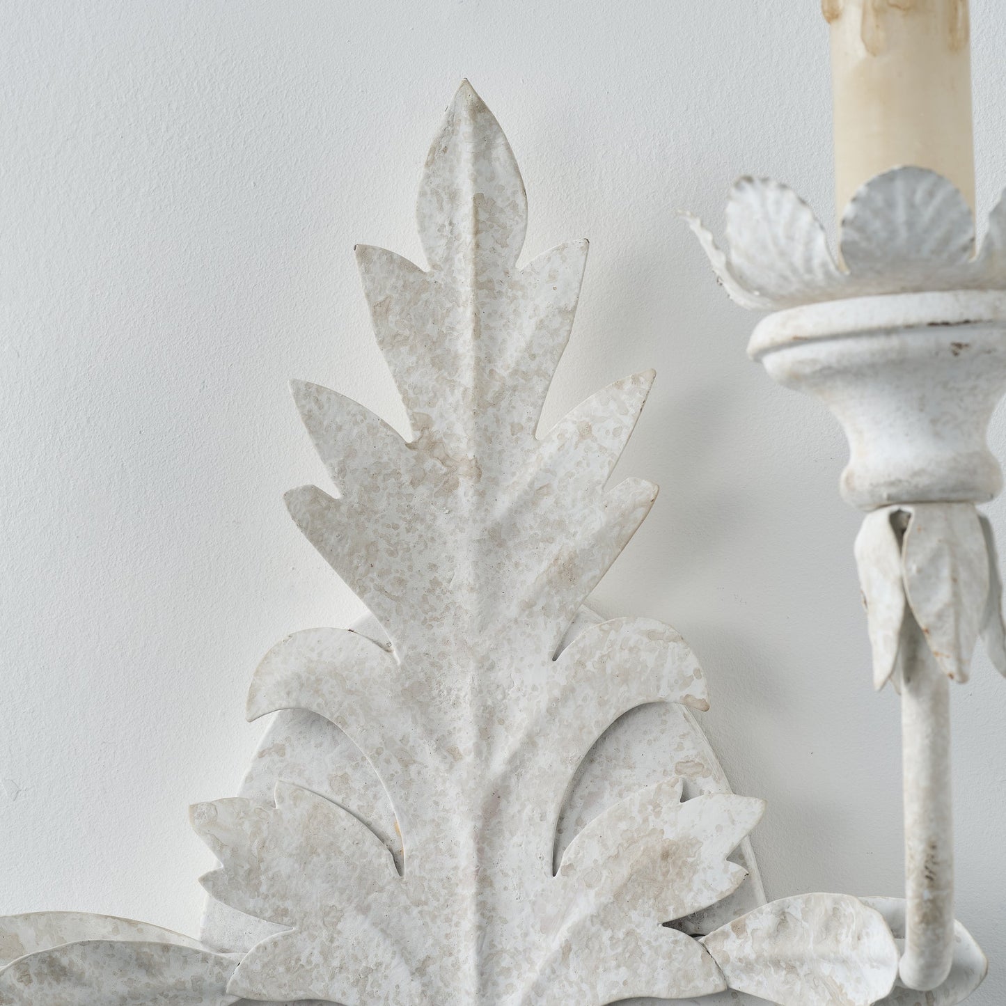Caelum Leaf Wall Lamp