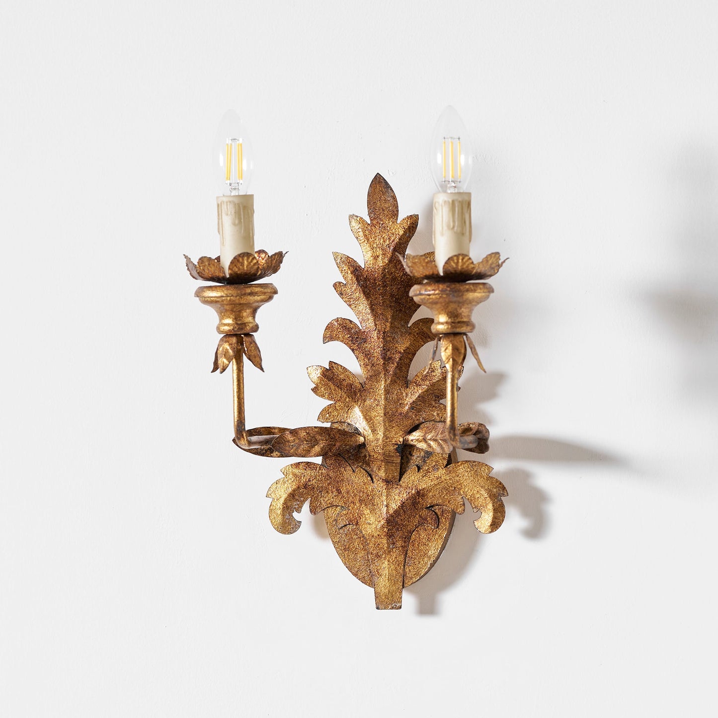 Caelum Leaf Wall Lamp