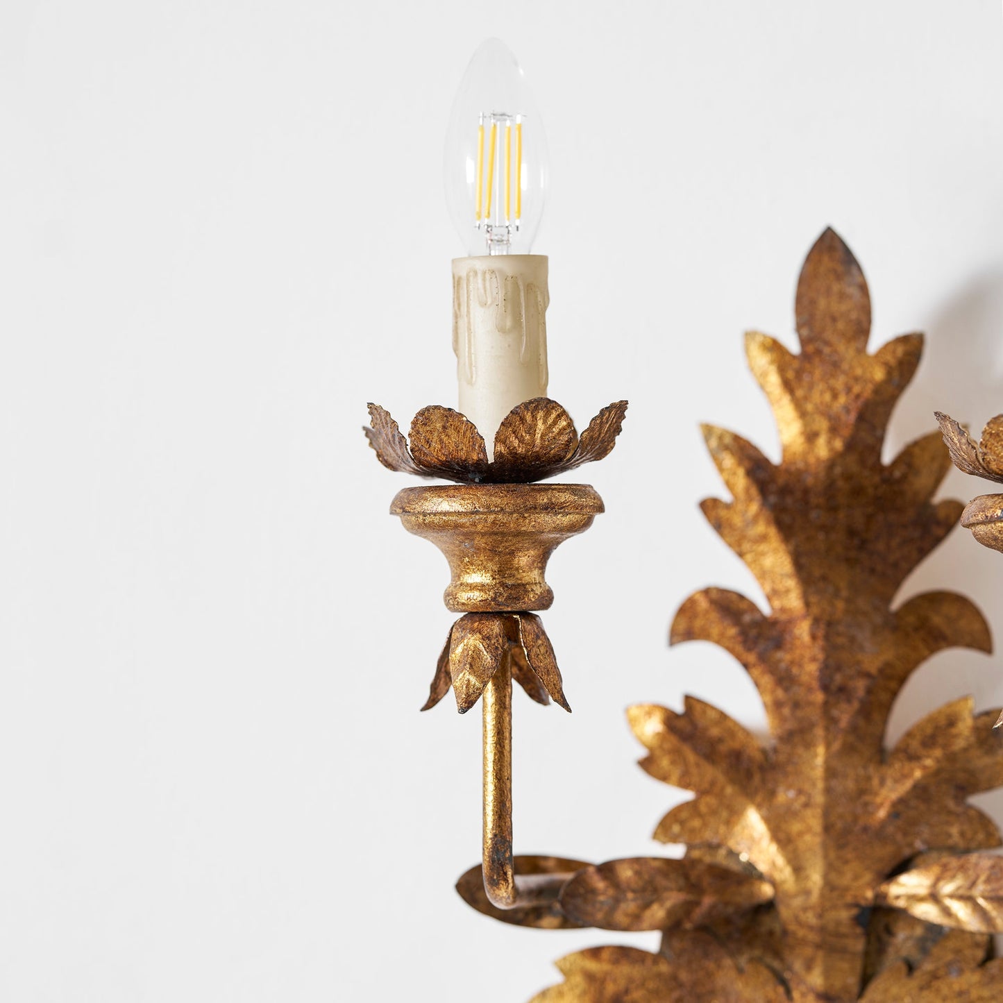 Caelum Leaf Wall Lamp