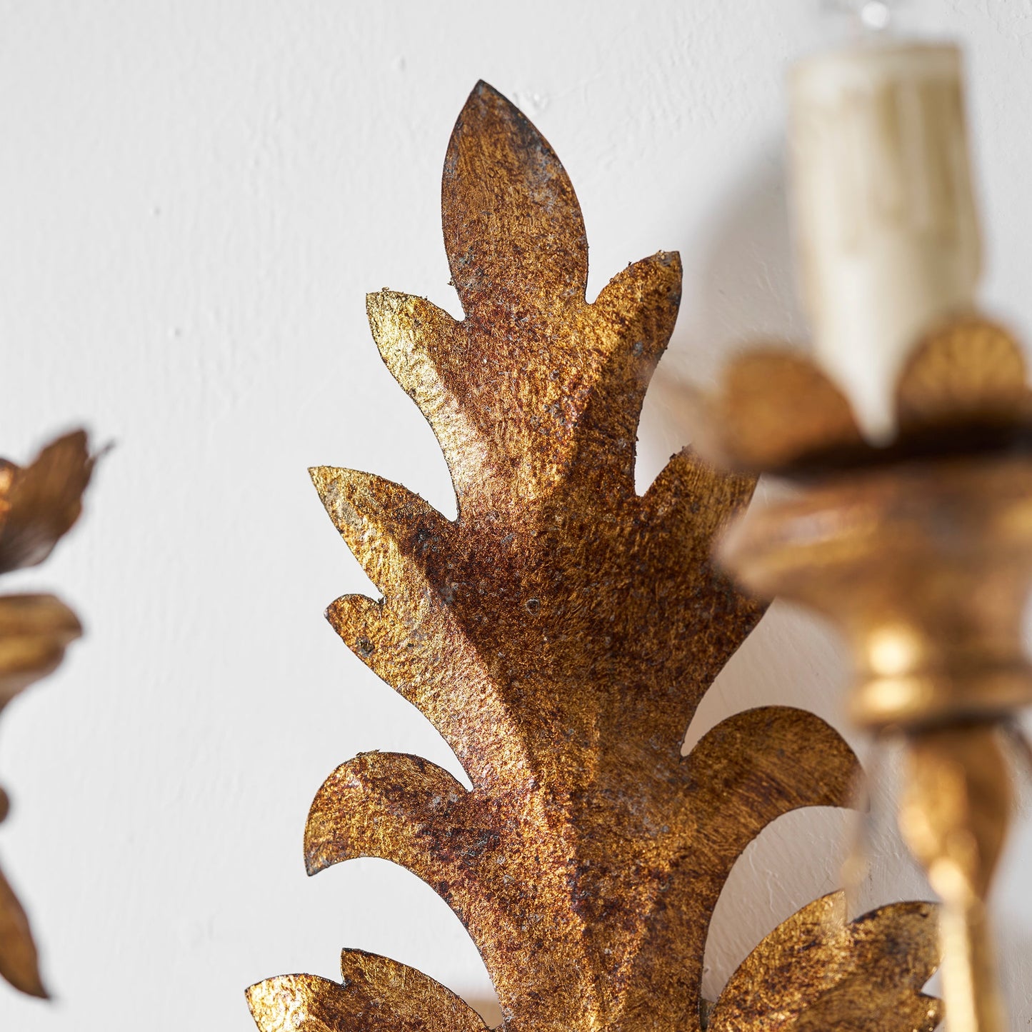 Caelum Leaf Wall Lamp