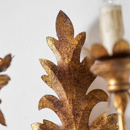 Caelum Leaf Wall Lamp