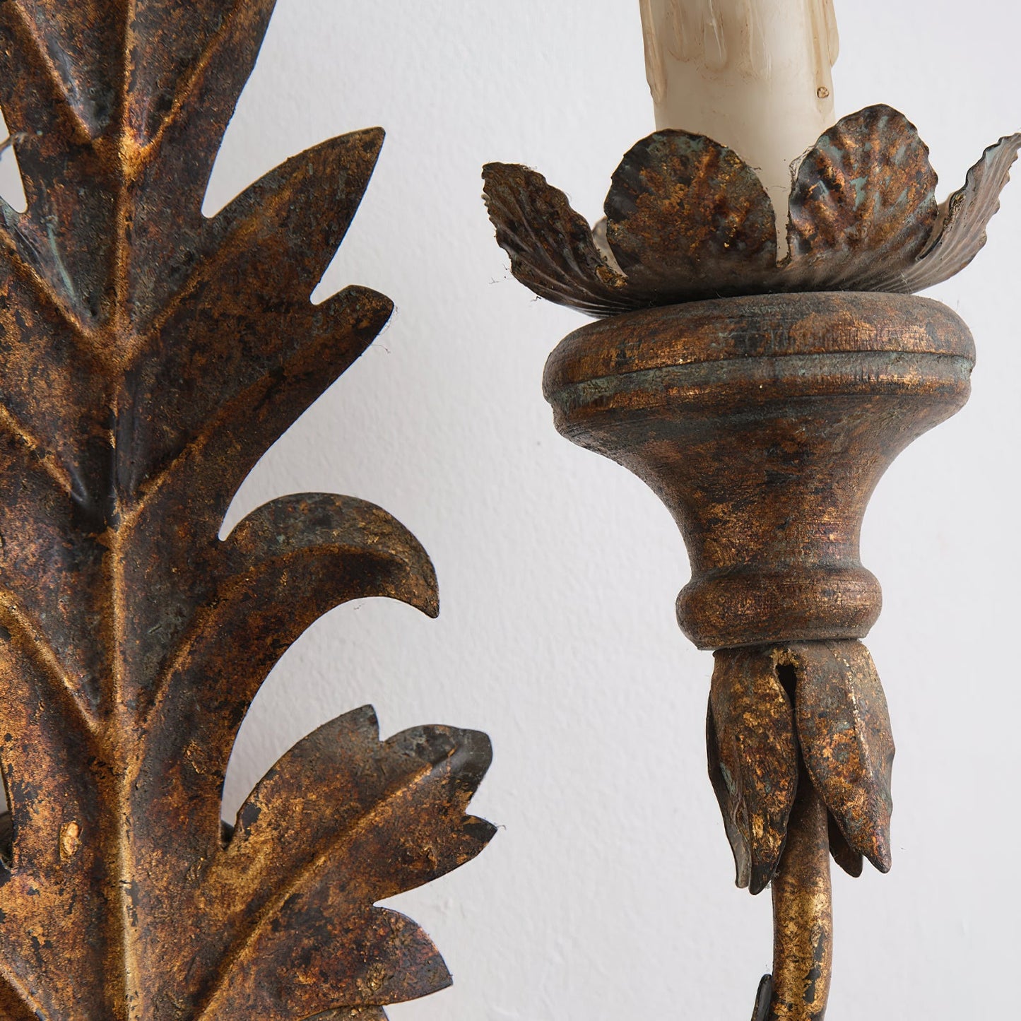 Caelum Leaf Wall Lamp