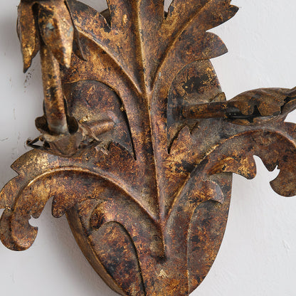 Caelum Leaf Wall Lamp