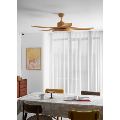 Quino 52″ Ceiling Fan Light