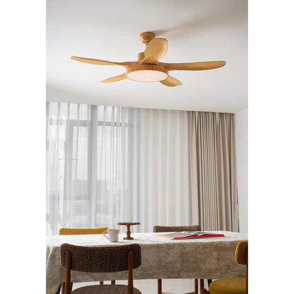 Quino 52″ Ceiling Fan Light