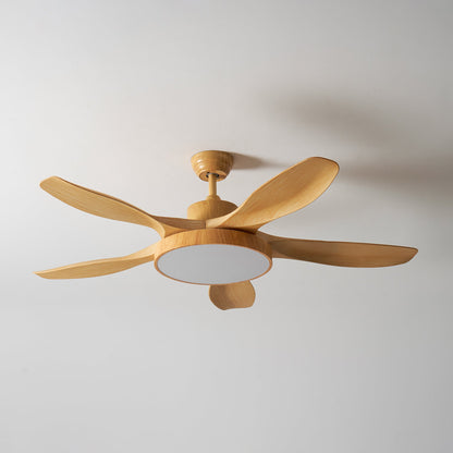 Quino 52″ Ceiling Fan Light