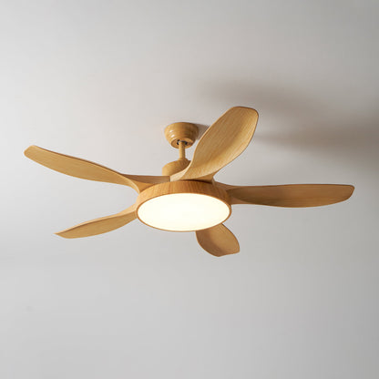 Quino 52″ Ceiling Fan Light