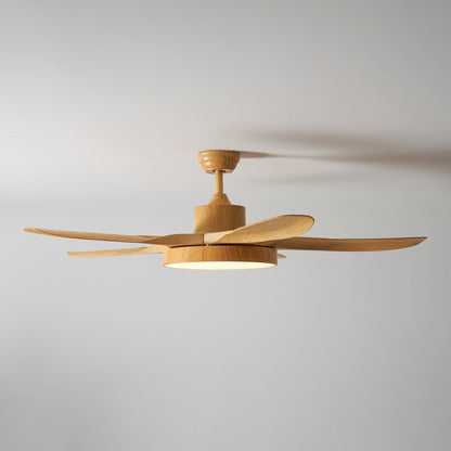 Quino 52″ Ceiling Fan Light