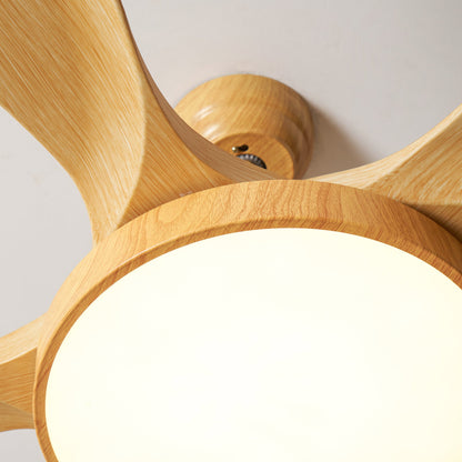 Quino 52″ Ceiling Fan Light