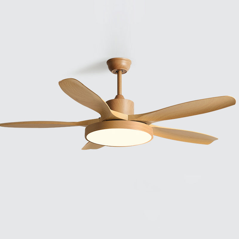 Quino 52″ Ceiling Fan Light