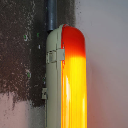 Melora Joy Wall Lamp