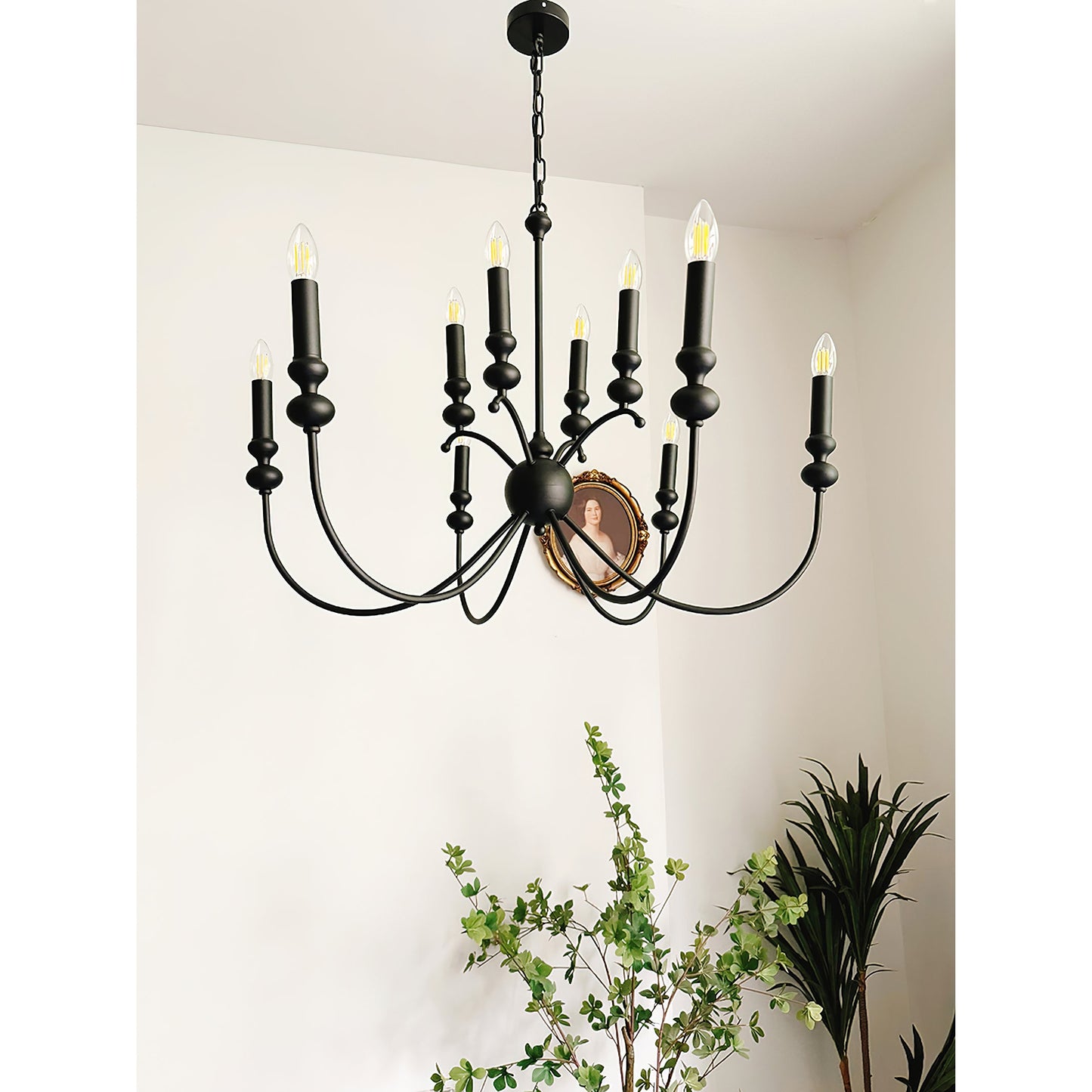 Solen Chandelier