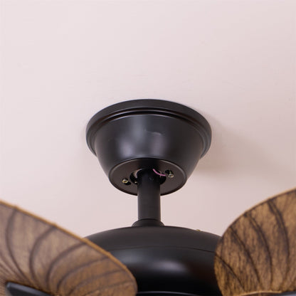 Quinor 42″ Ceiling Fan Light