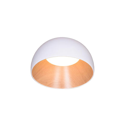 Calen Ceiling Lamp
