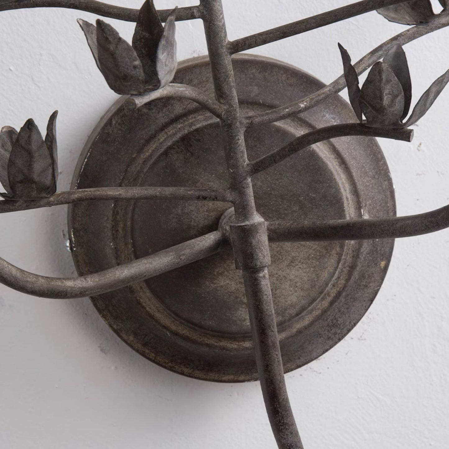 Procyon Branch Wall Lamp