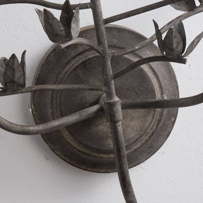 Procyon Branch Wall Lamp