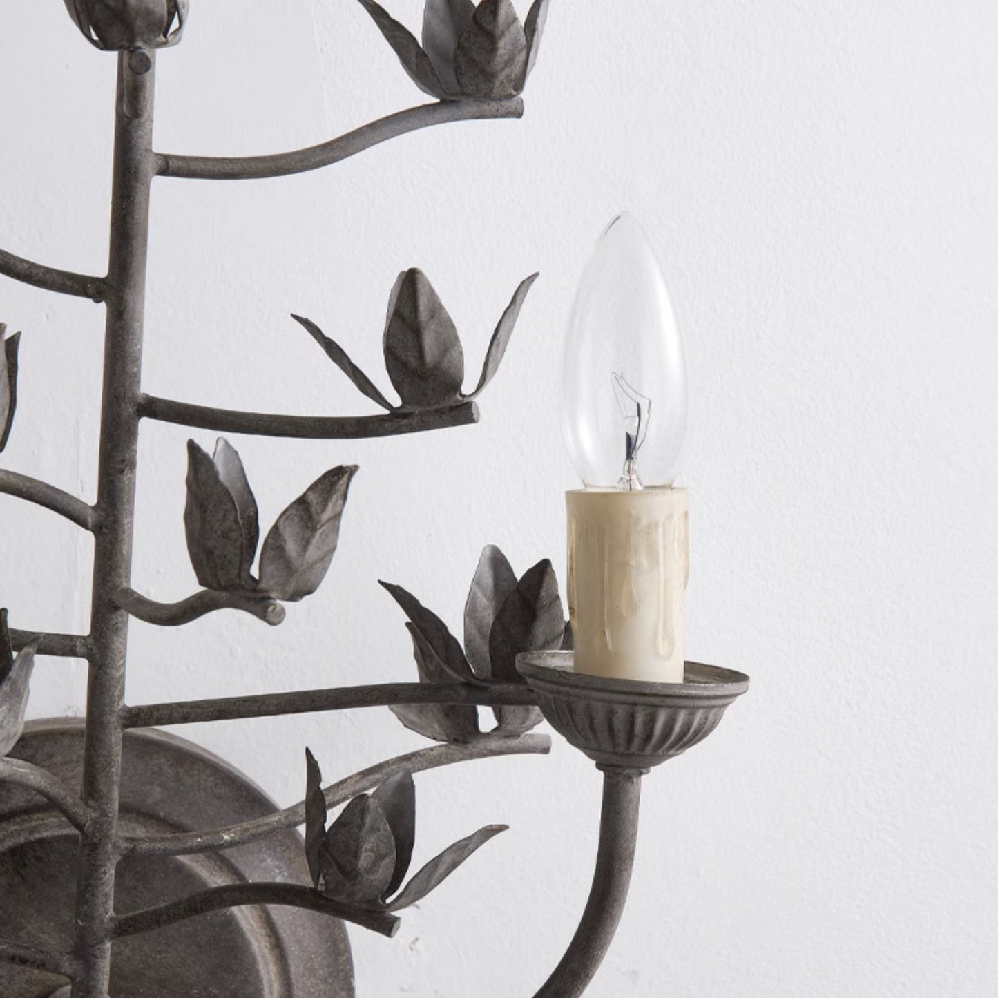 Procyon Branch Wall Lamp