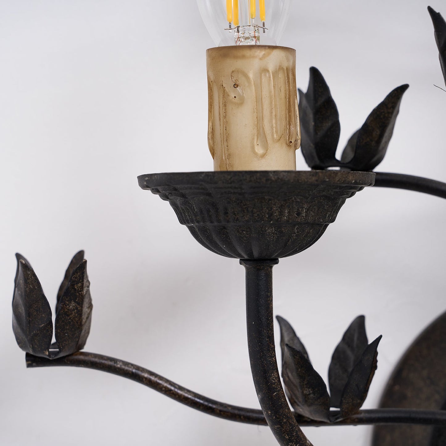 Procyon Branch Wall Lamp