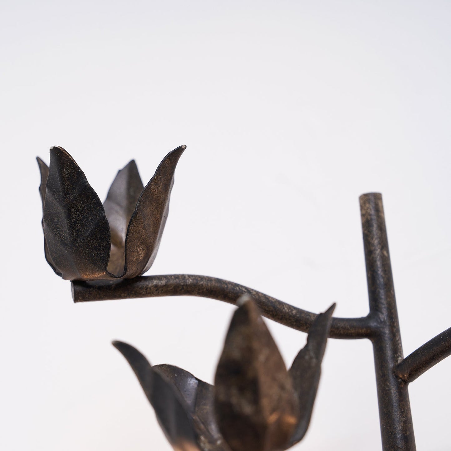 Procyon Branch Wall Lamp