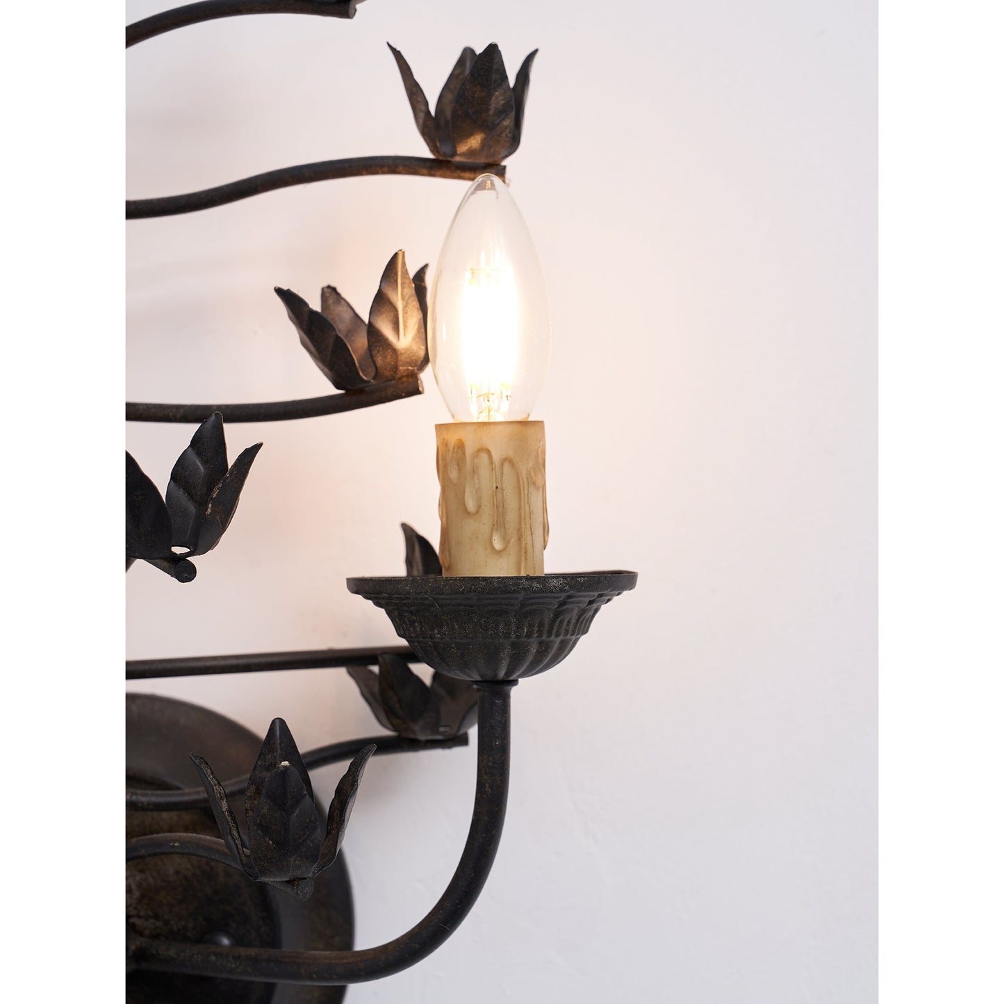 Procyon Branch Wall Lamp