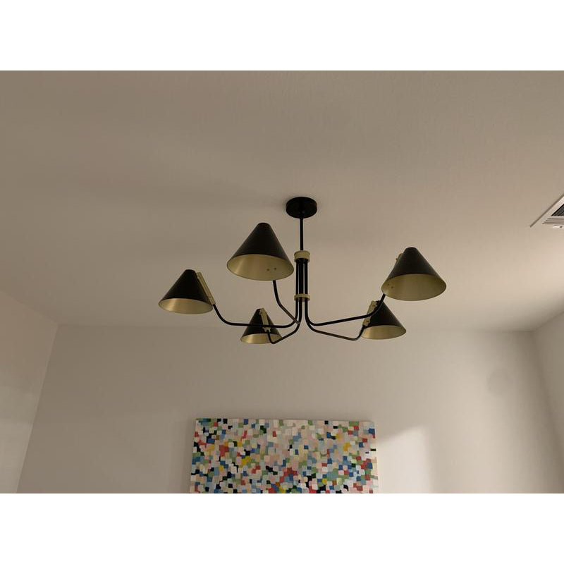 Vionia Isle Chandelier