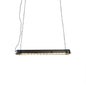 Dova Cage Pendant Light