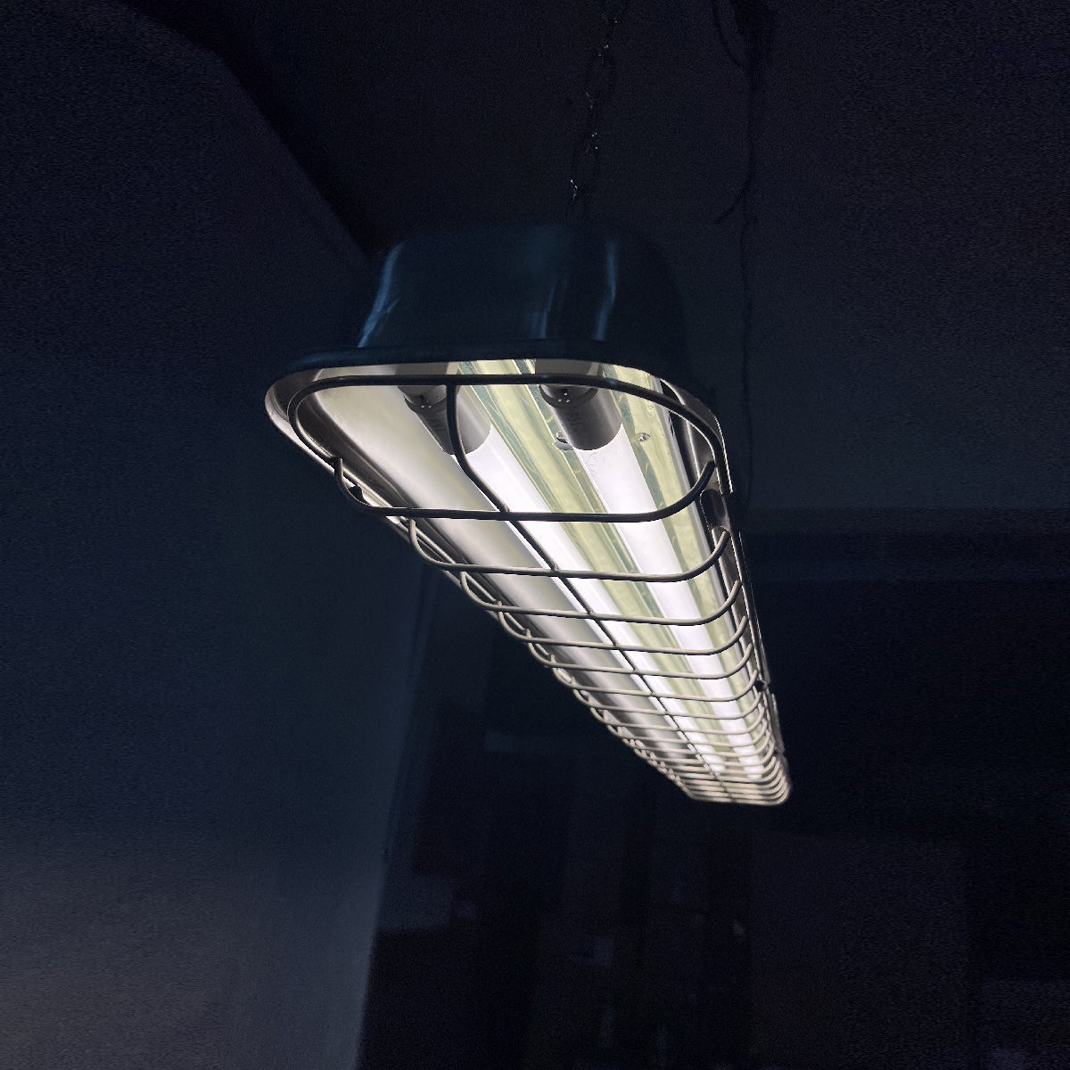 Dova Cage Pendant Light